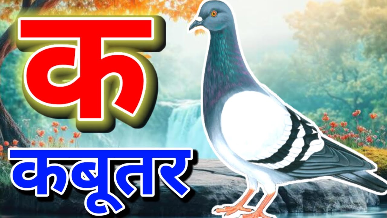 हिंदी वर्णमाला K से Kabutar | बच्चों के लिए मजेदार वीडियो। ABCD। A for apple। #kidssong #kids