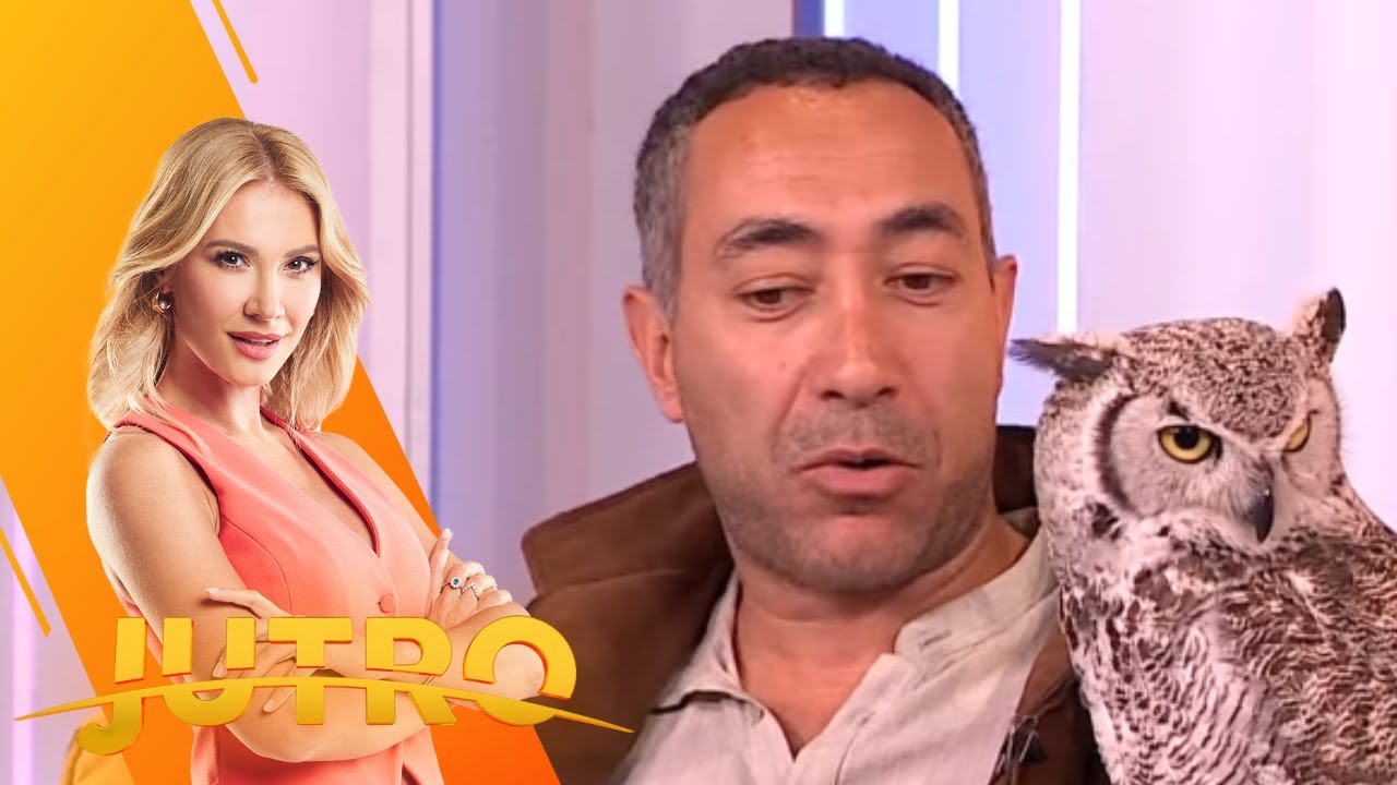 Da li ptice grabljivice mogu da budu kućni ljubimci?-JUTRO