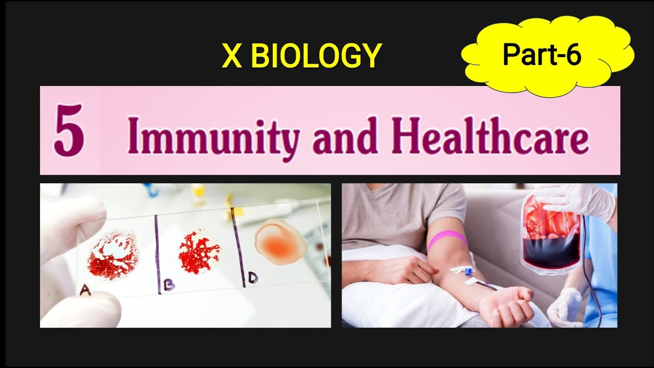 Immunity and health care  SSLC biology  chapter 5 class10  Part 6 Antibiotics, Blood group