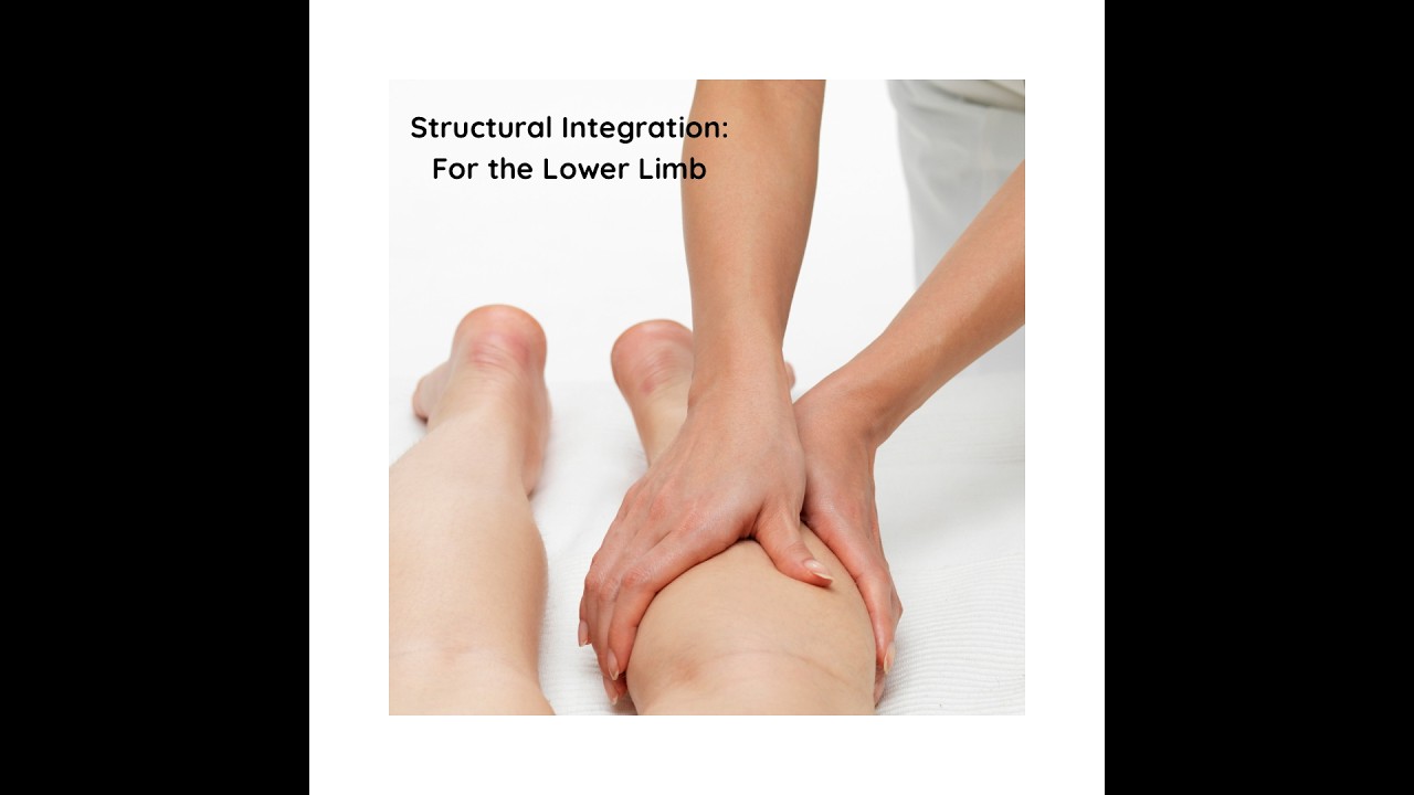 SI for the Lower Limb PREVIEW 