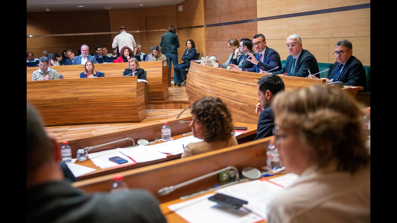 Ple ordinari de la Diputació de València. 17/02/2025