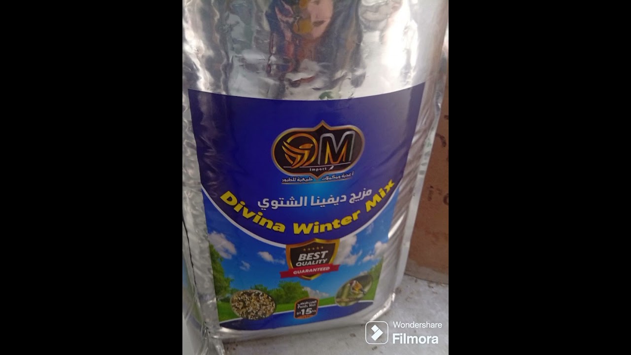 الأكل المناسب للحسون في فصل الشتاء DIVINA WINTER 