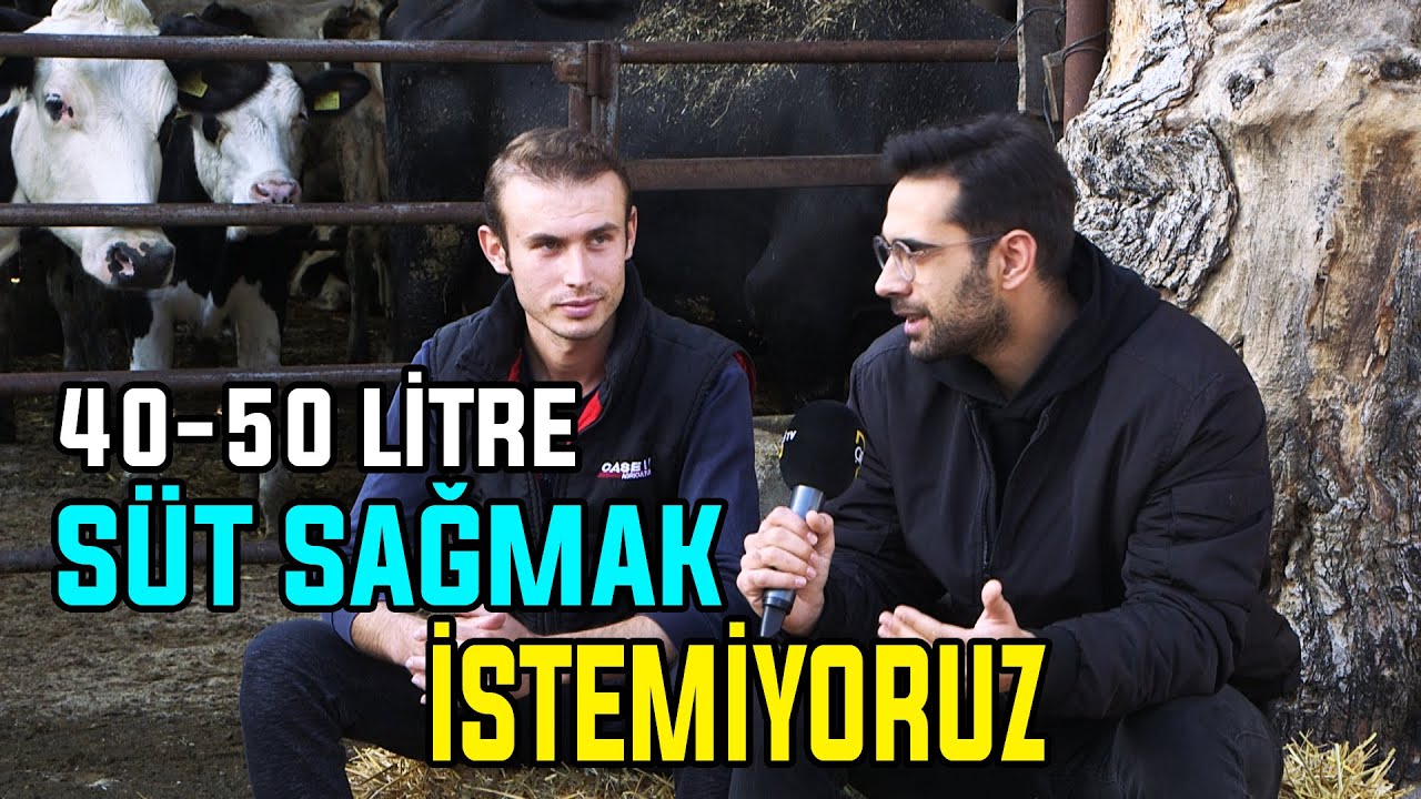 Genetik Tohumu Oluşturmak İçin Yapılması Gerekenler / 40-50 Litre Süt Sağmak İstemiyoruz…