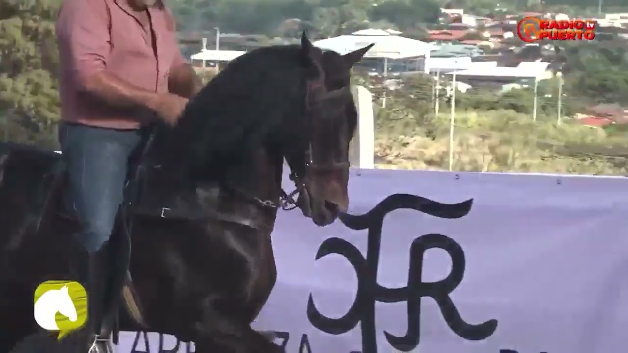 Caballerizas Carranza/ Hablemos de Caballos & Más