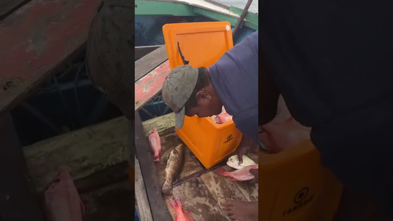 Trip perdana kapal baru mancing mania muara badak