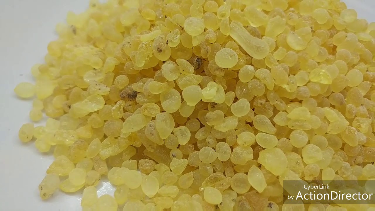 Mastagi