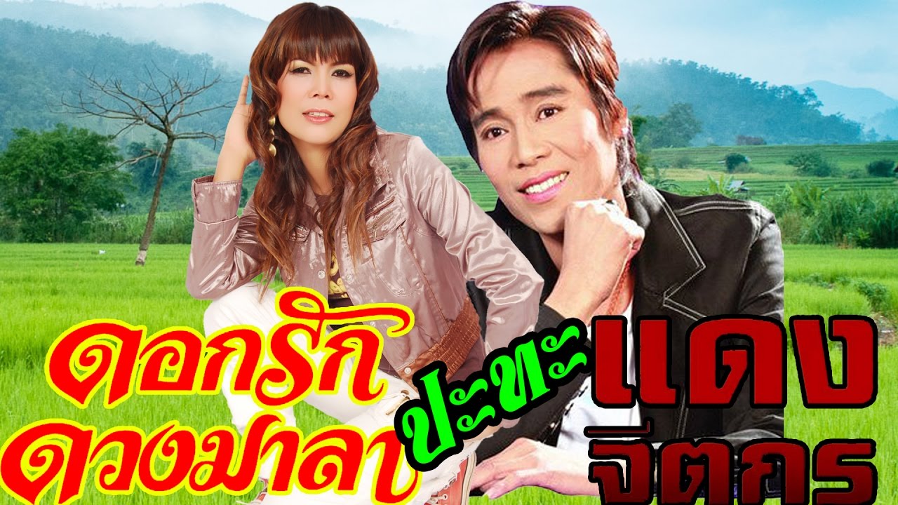 รวมเพลงดังคู่ฮิต ดอกรัก ดวงมาลา ปะทะ แดง จิตกร