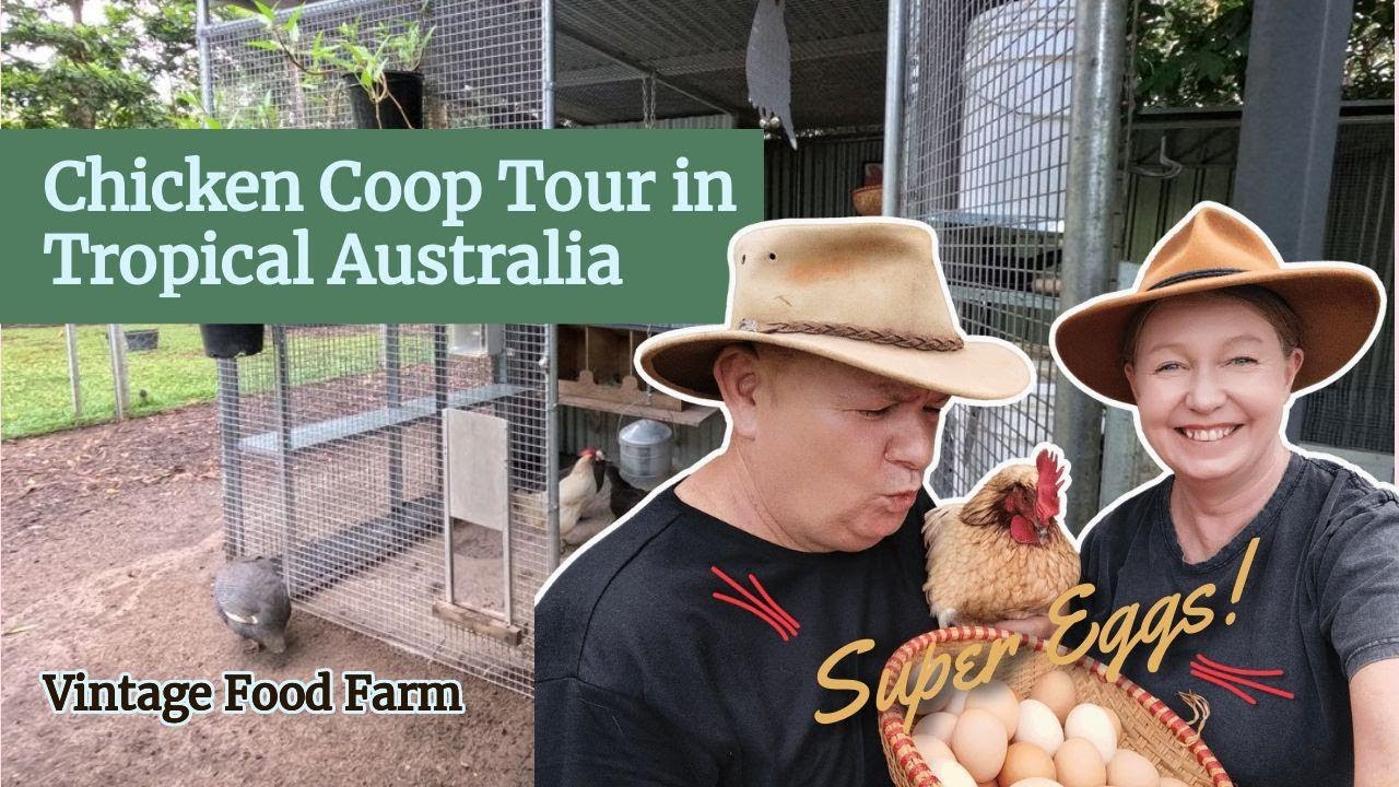 Tropical Chicken Coop Tour 😁🐔🥚
