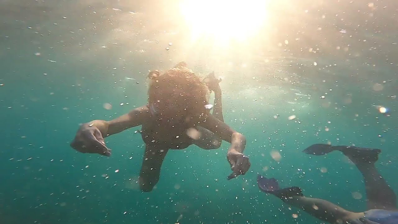 Leopard 42 in the Dry Tortugas