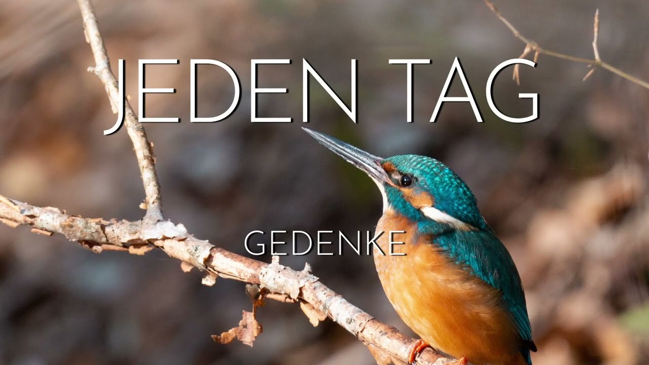 Jeden Tag | Gedenke