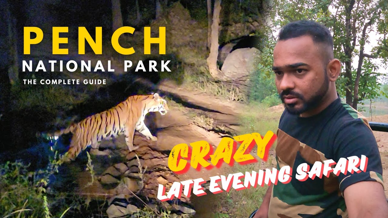 PENCH SAFARI - Khawasa Gate | Late Evening Safari | Vlog 2