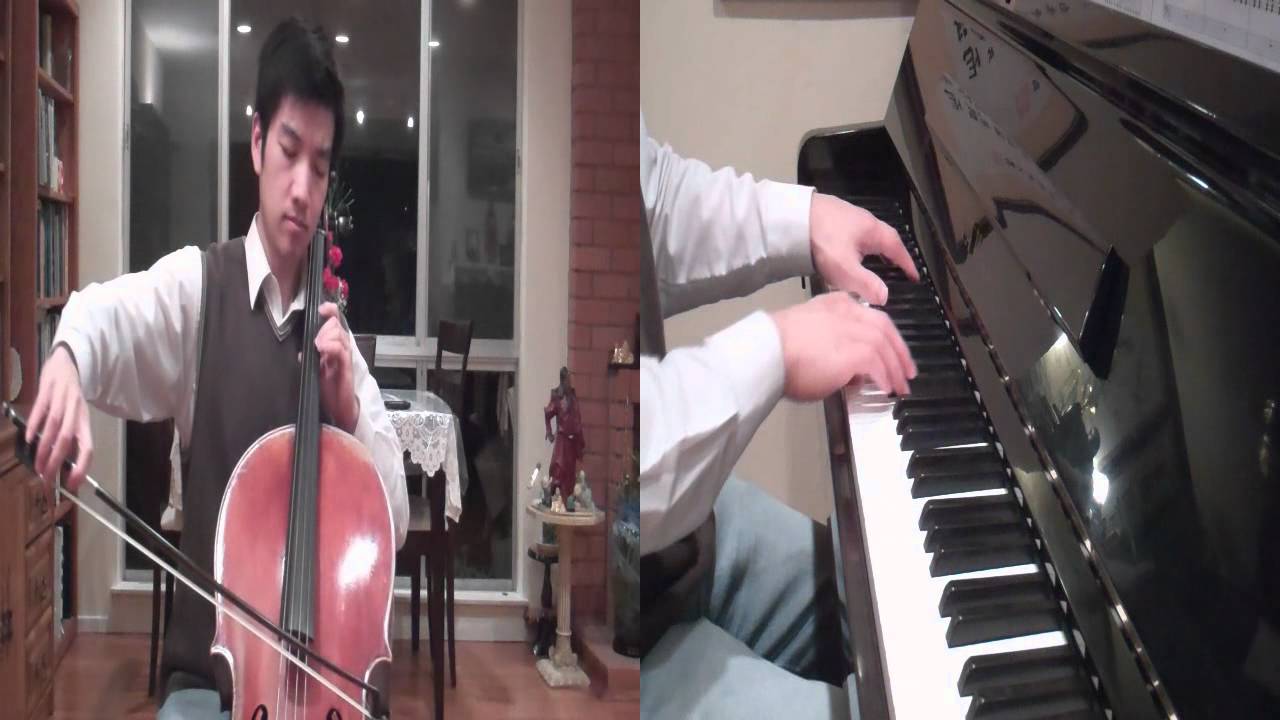 Titanium David Guetta ( Cello Cover)