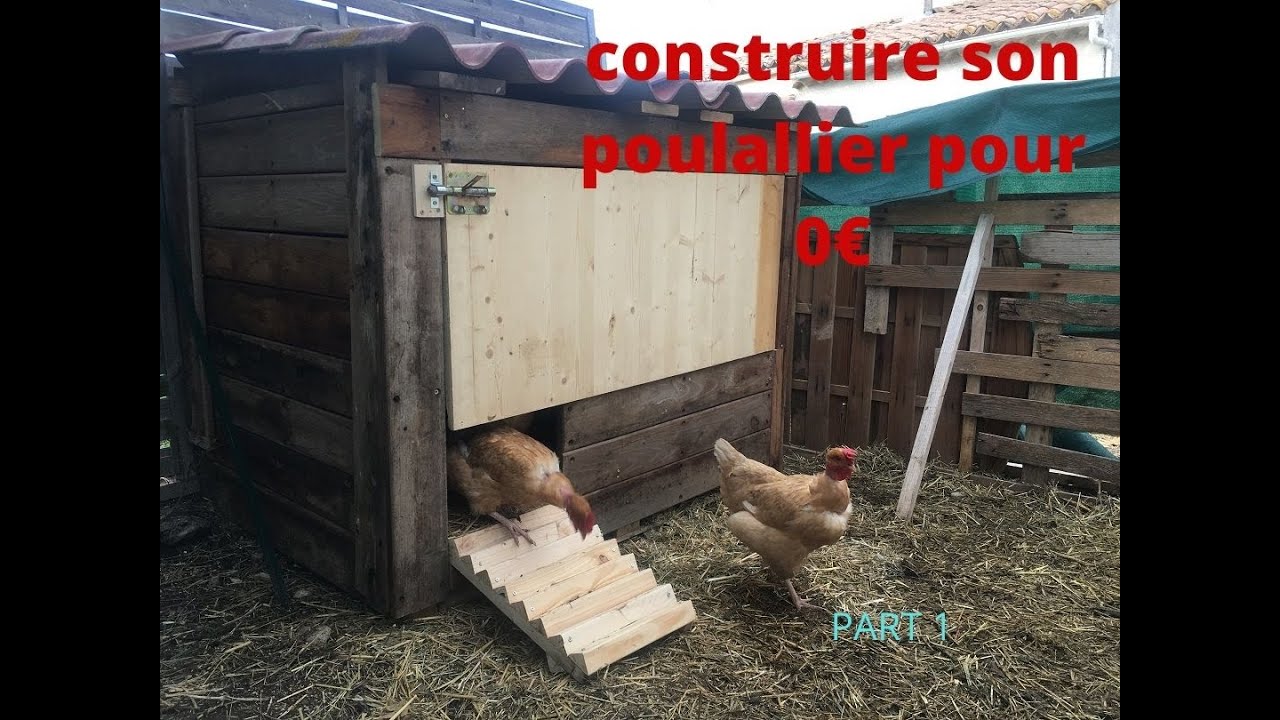 BRICOLAGE : construire un poulailler pour 0€ part 1 avec des matériaux recycler  BUILD