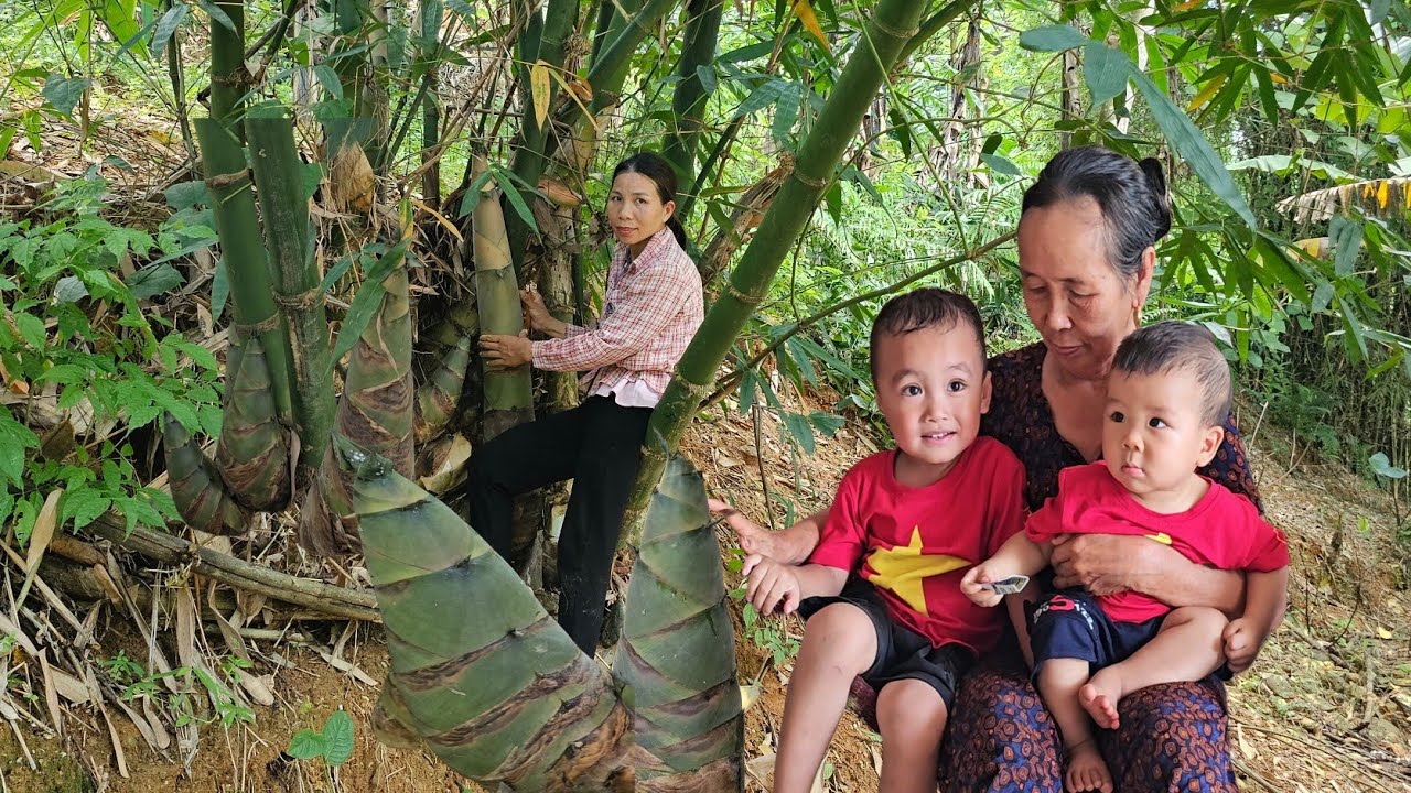Grandma helps Vui take care of her grandchildren - Vui harvests giant bamboo shoots to sell.