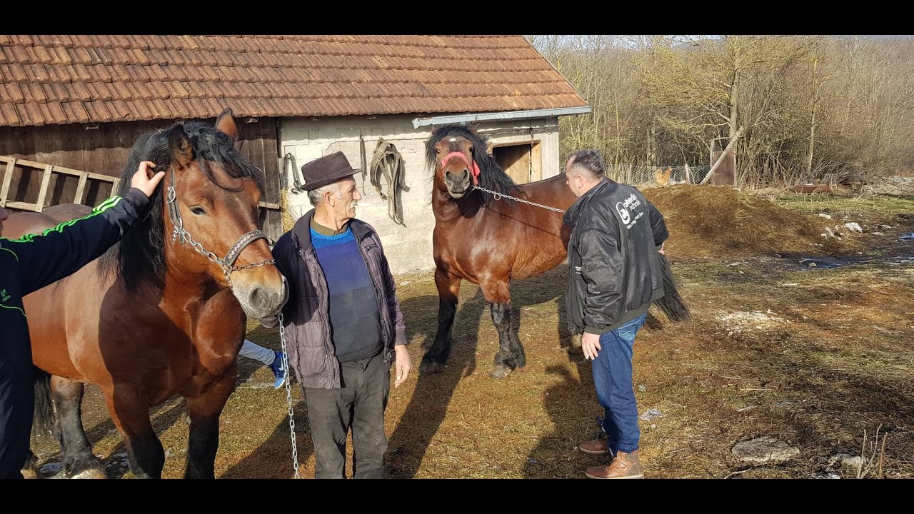 -Legendarni &scaron;trapar Čeko Mirko-Garov ponos je Krajine -26.01.2020.
