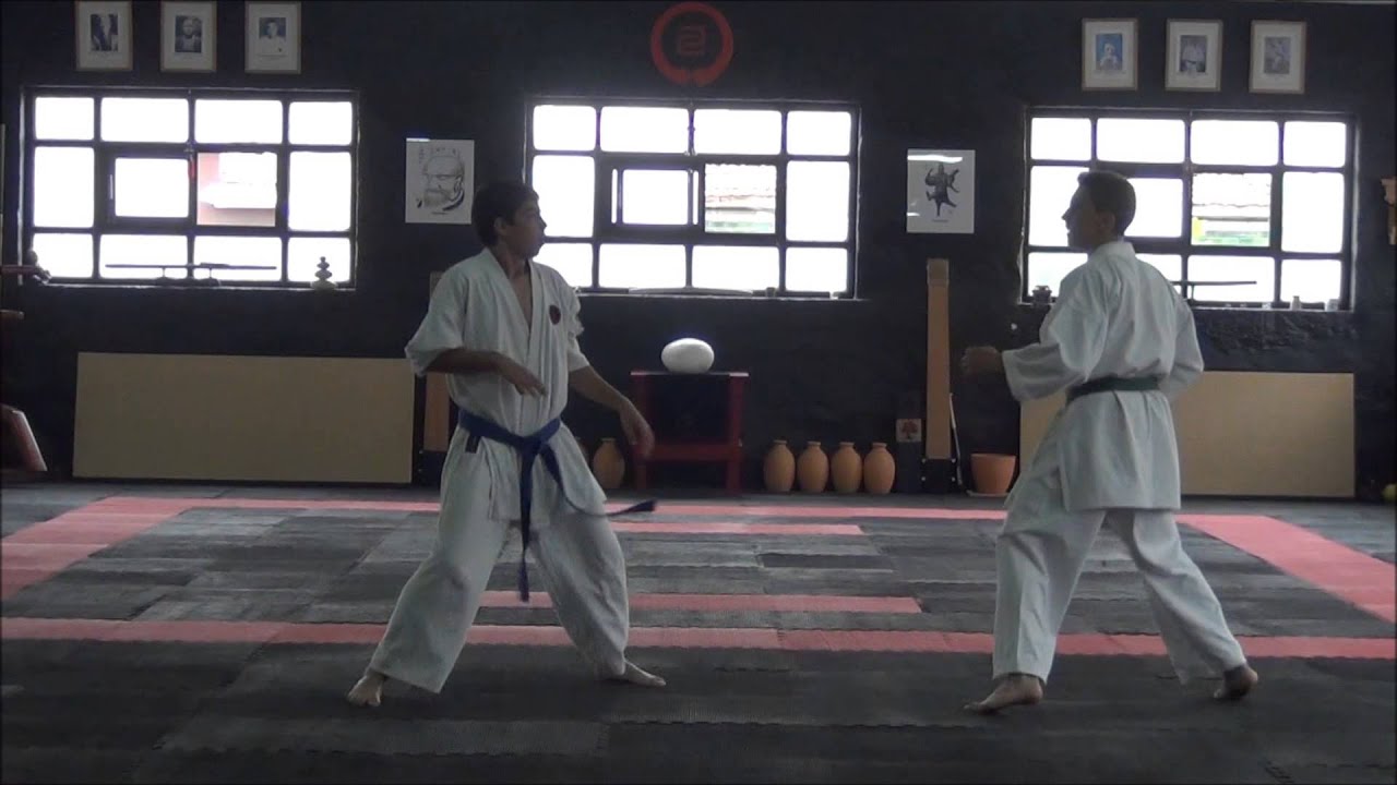 Novo video Budo Dojo
