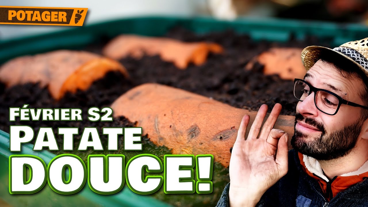 NE RATE PAS ça au potager ! Février semaine 2 🌱🚜