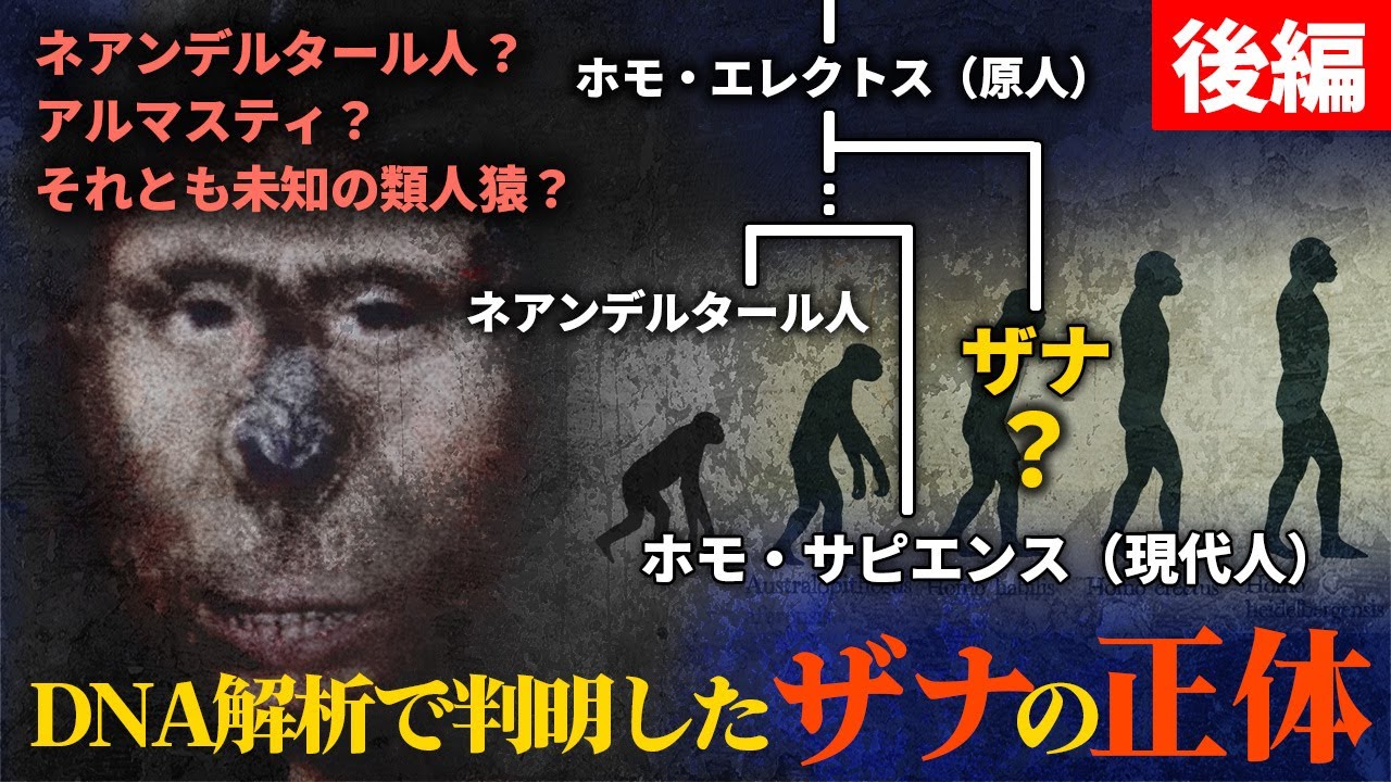 「後編」130年の時を経て判明した&ldquo;獣人少女ザナ&rdquo;の正体、19世紀コーカサスの衝撃実話