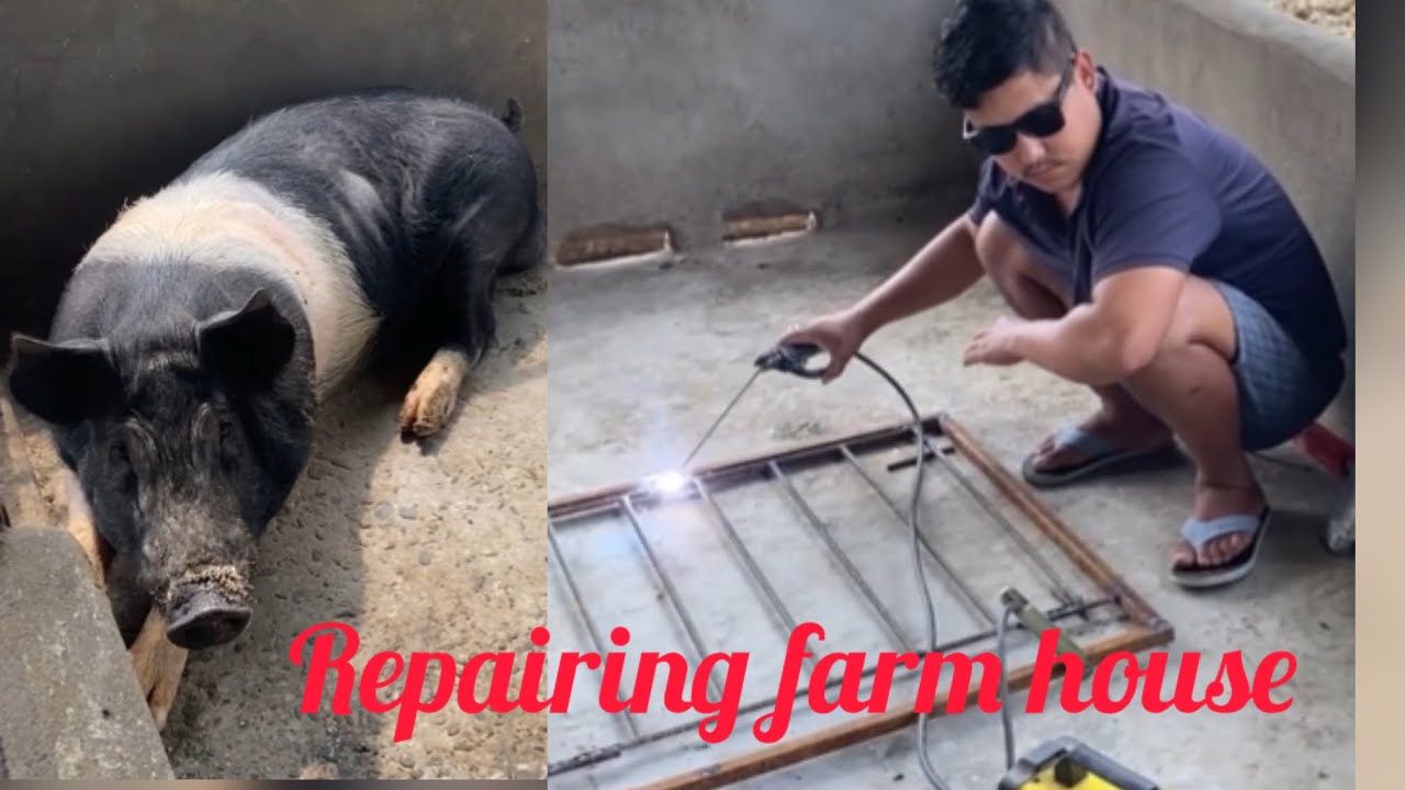 Repairing our Farm house 