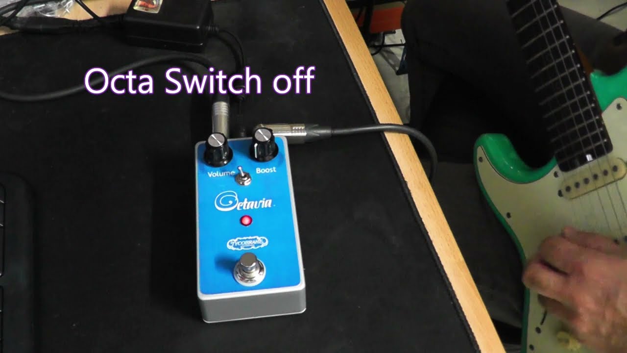 Tycobrahe octavia - Clone