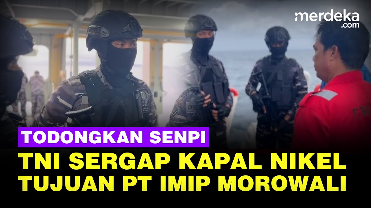 Menegangkan! Pasukan TNI AL Todongkan Senpi Sergap Kapal Angkut Nikel Tujuan PT IMIP Morowali