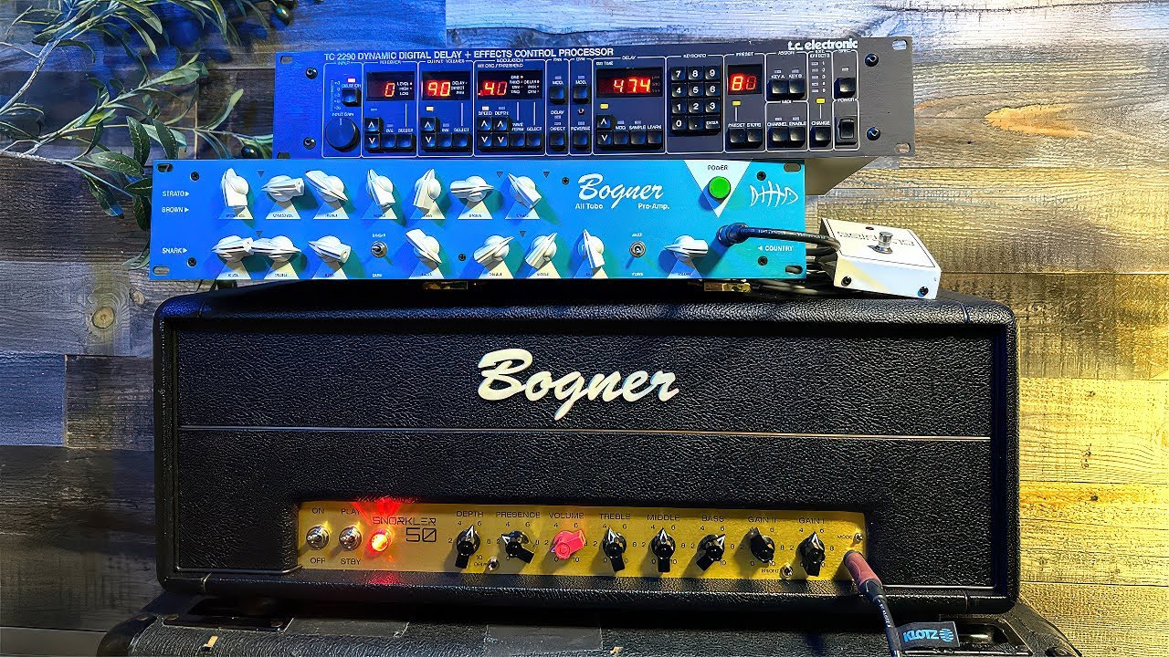 Bogner Snorkler vs. Fish : Head-to-Head Tone Battle 🐠 🤿 🎸🔥
