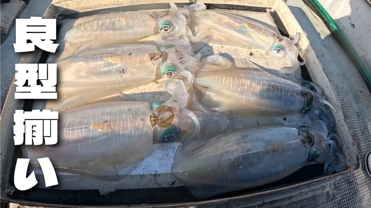 真冬の海が想像以上にやばかった