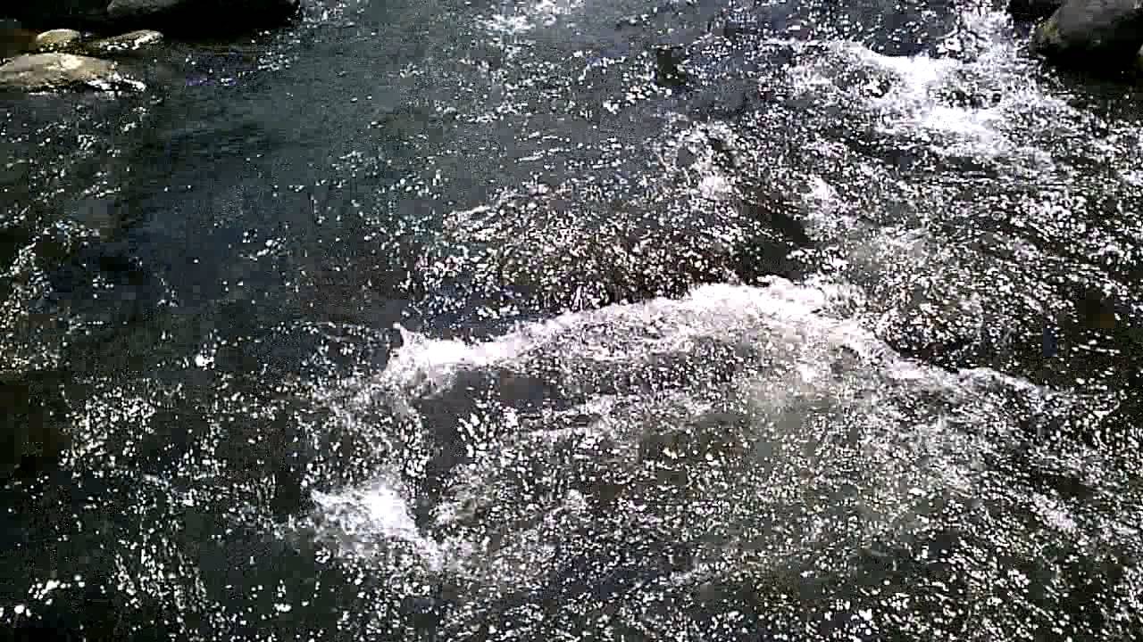 Sungai bogowonto asli