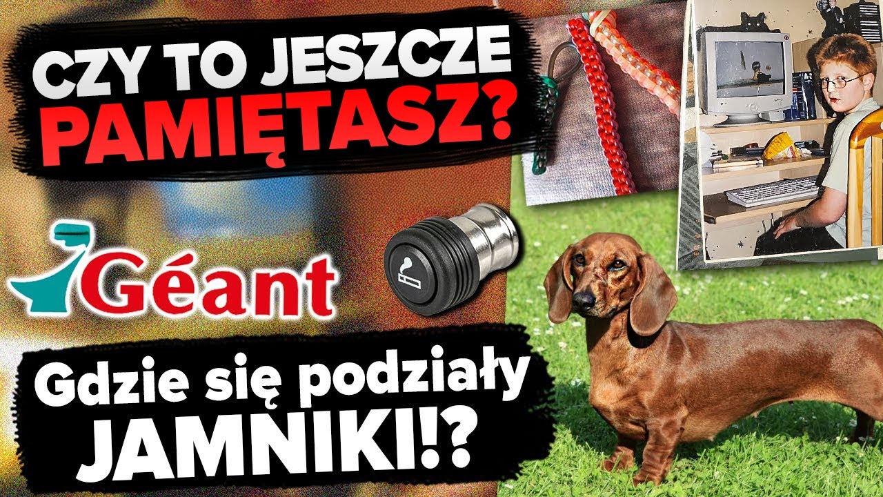 Gdzie są JAMNIKI!? Czemu ZAPALNICZKA SAMOCHODOWA teraz ładuje telefon?