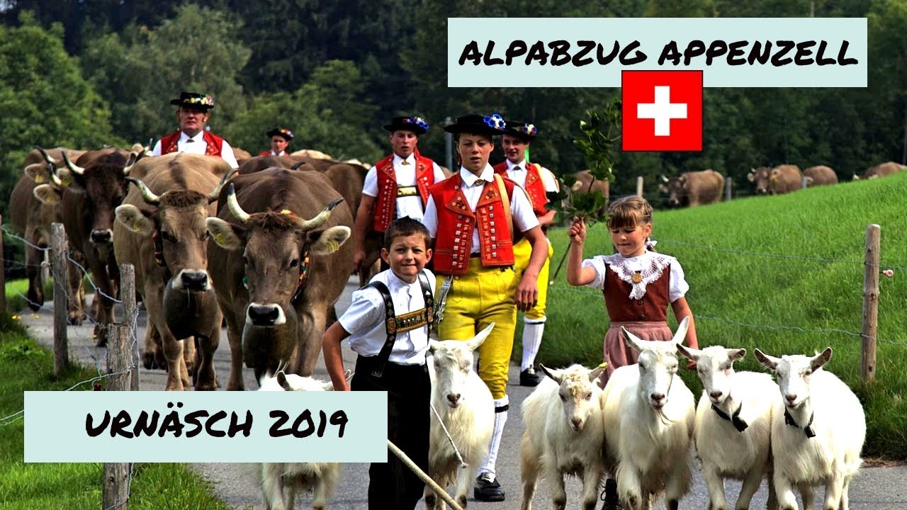Alpabzug im Appenzell Urnäsch 14.09.2019 🇨🇭