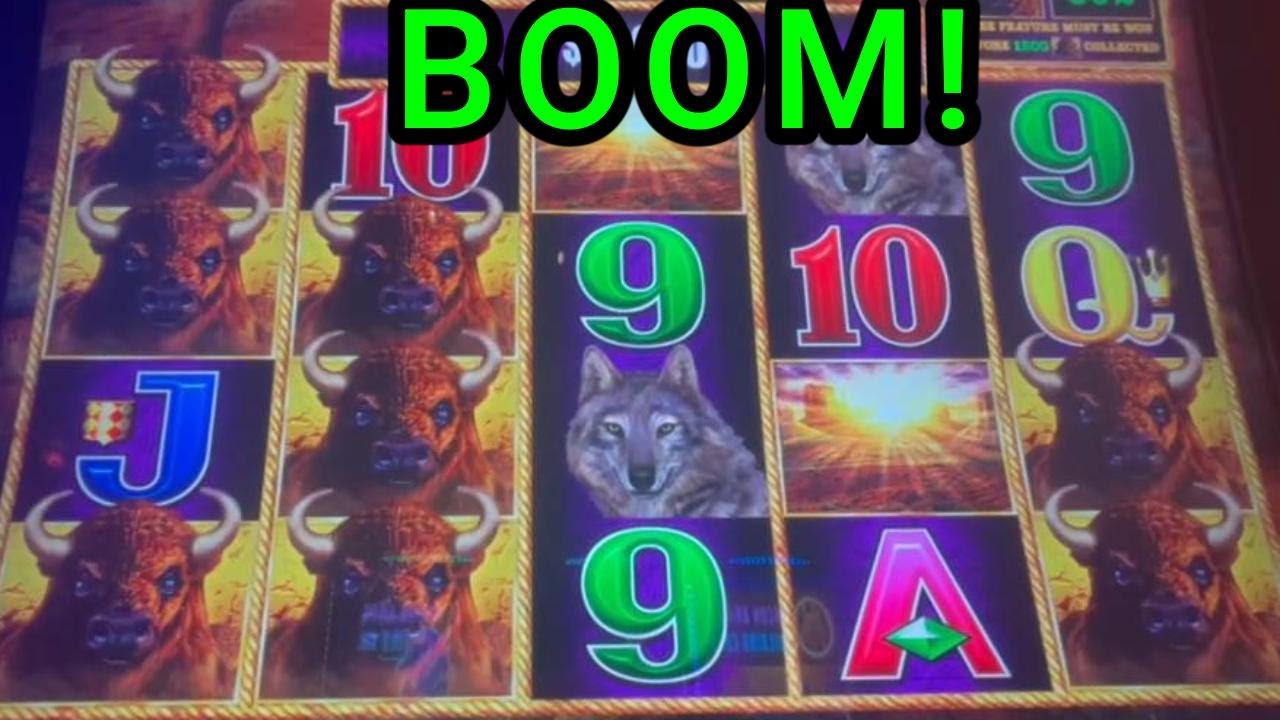 Buffalo Lightning and Buffalo Link Action - Awesome Line Hits and Even More Bonuses!