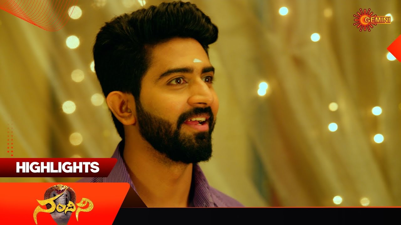 Nandini - Highlights of the day | Watch full EP Sun NXT | 20 Nov 2025 | Gemini TV