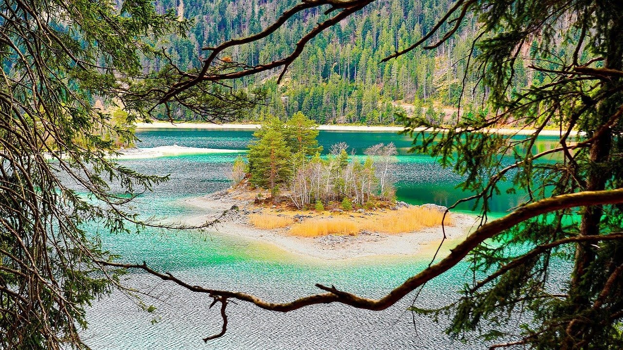 Relaxing music🌿 Forests, mountains, lakes, sounds of nature! Relieves stress and restores nerves!