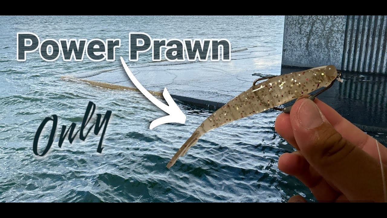 Power Prawn by Salt Strong