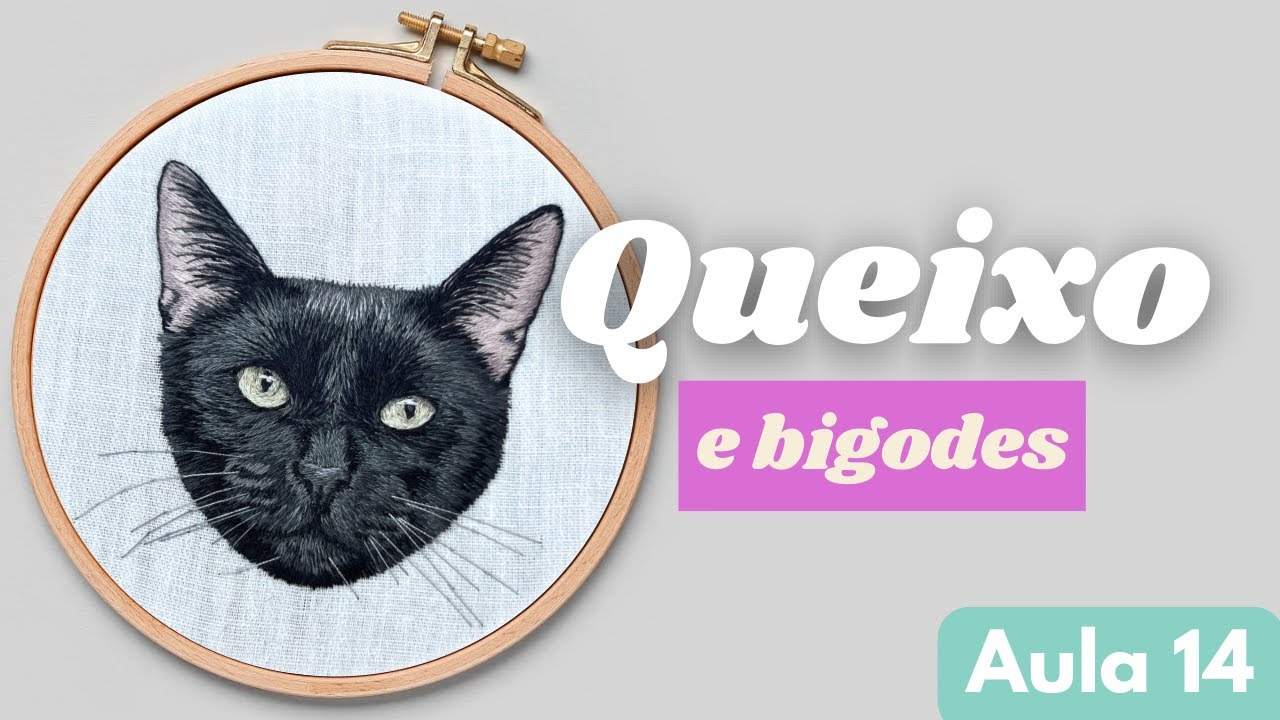 Bordando o Gatinho - Queixo e Bigodinhos