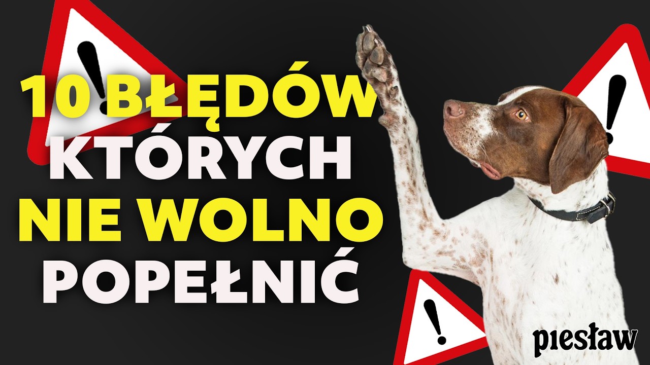 10 błędów, które RUJNUJĄ wychowanie psa 🐶 (Nawet jeśli masz dobre intencje!)