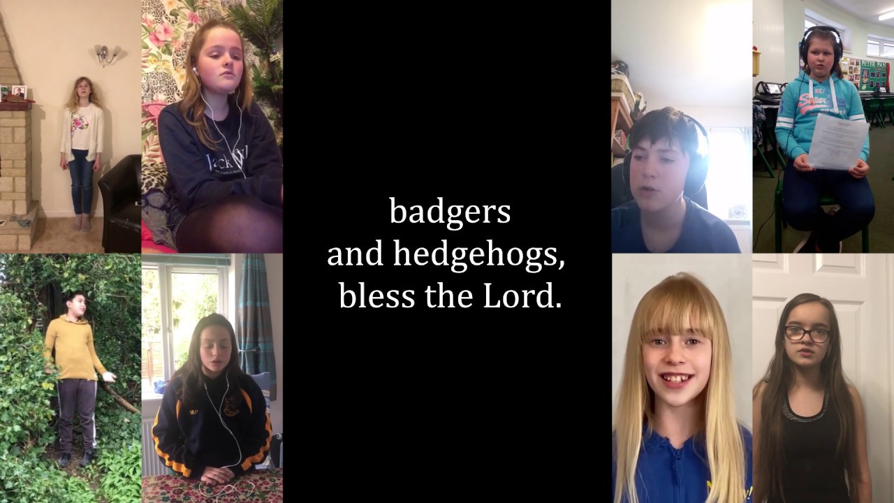 St Peter's High School - Year 7 Choir - Badgers and Hedgehogs by Andrew Carter