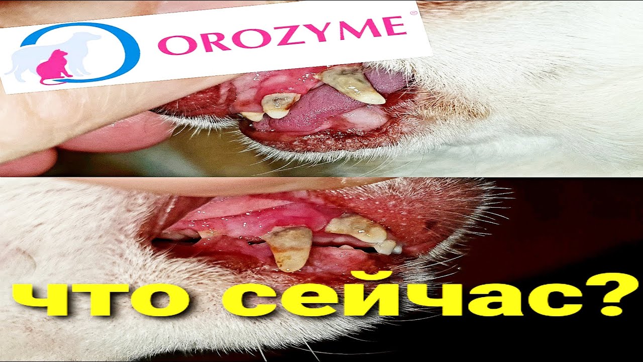 Гель OROZYME - результат после 2,5 месяцев