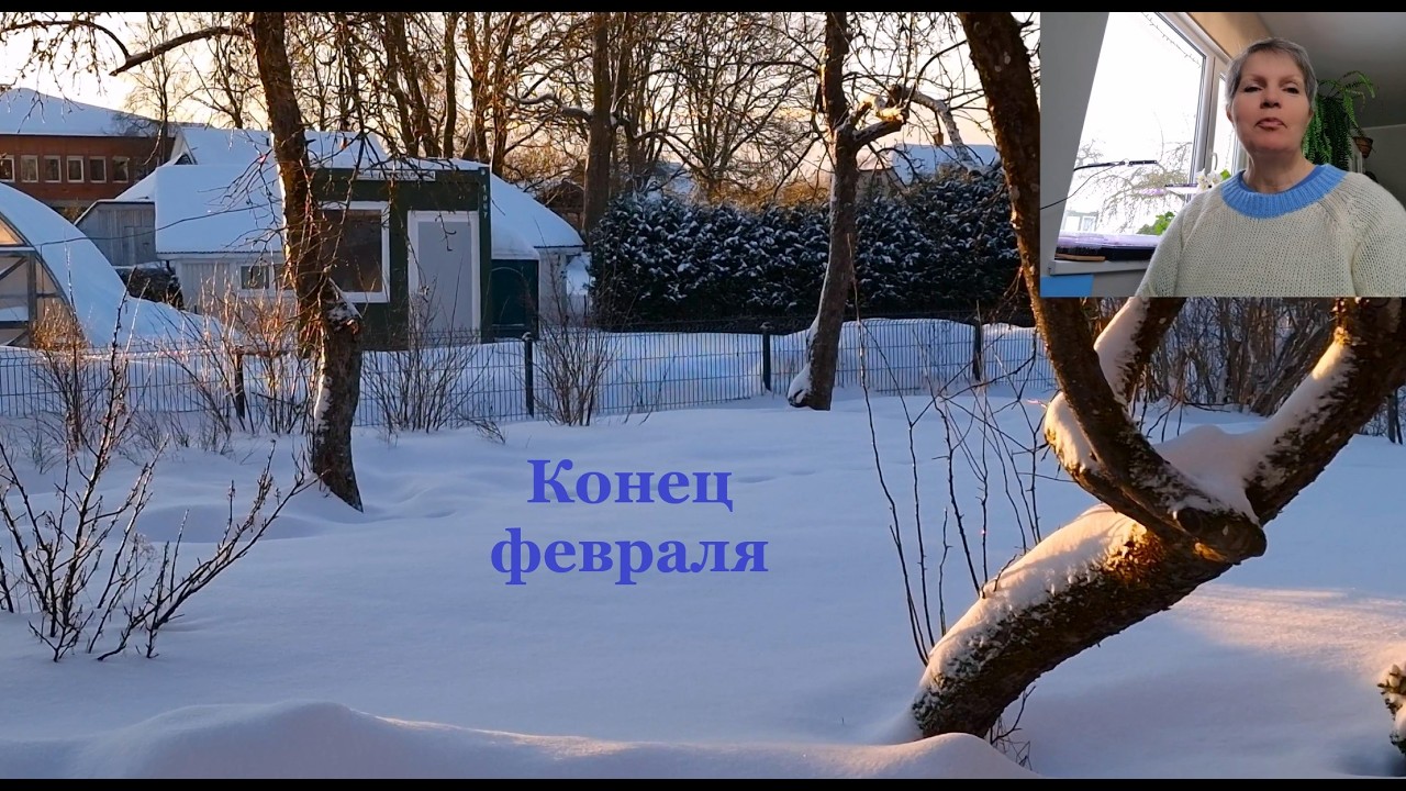 Конец февраля. Пикировка лобелии. Распаковочка. Последний кабачок. Оттепель.