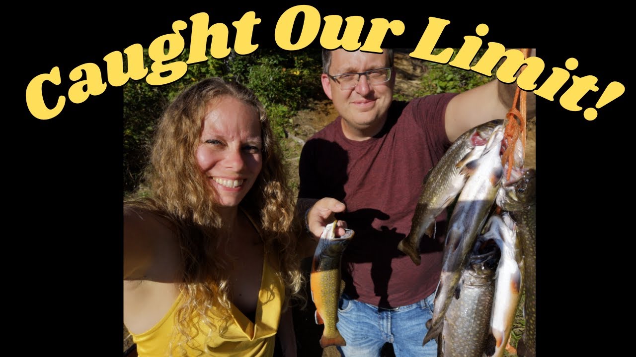 Brook Trout Catch and Cook - Mug Lake, Ontario Fishing