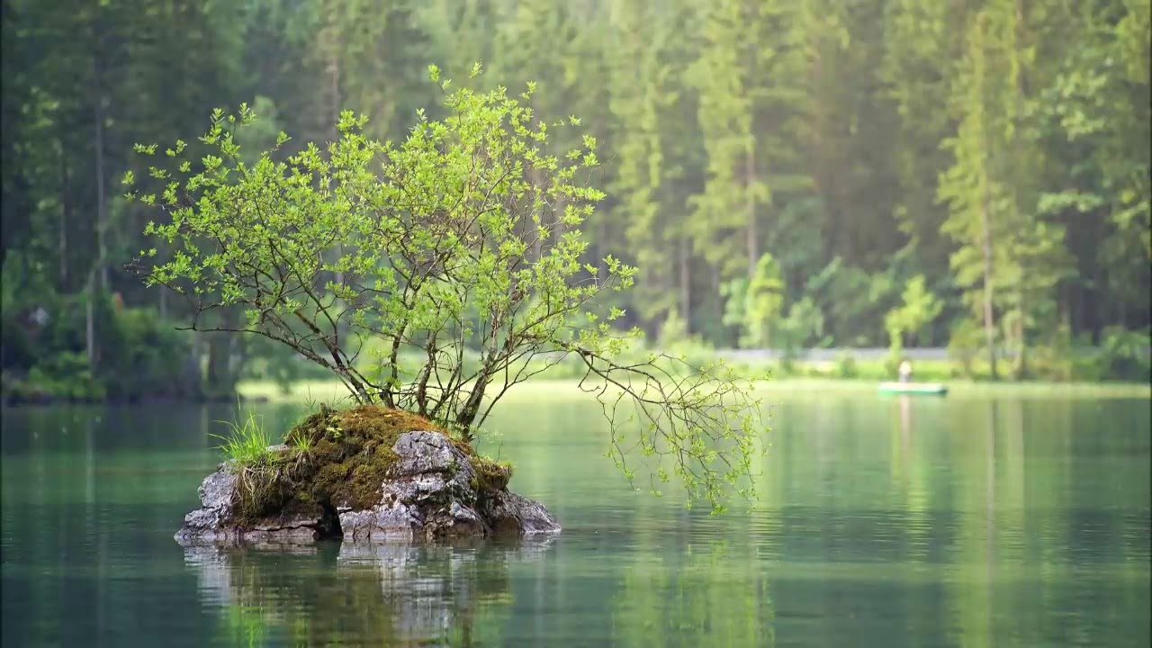 Meditacija - Otpuštanje otpora i dopuštanje