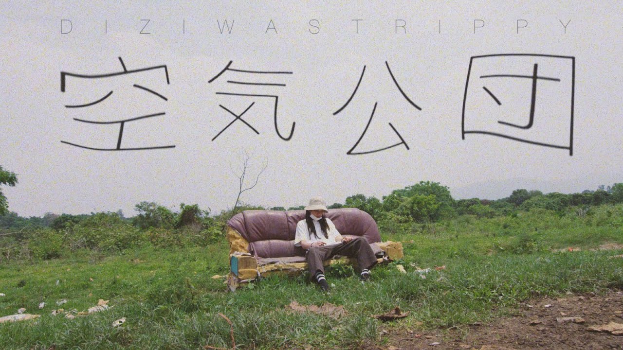 DIZIWASTRIPPY / 空気公団