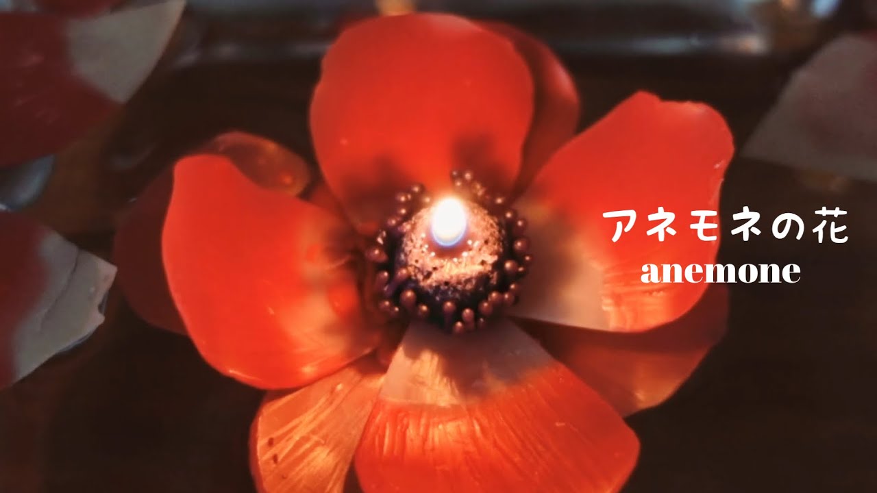 フラワーキャンドル作り　アネモネの花　anemone candlemaking