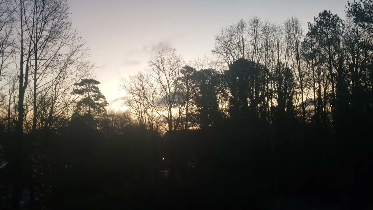 Jan 26,2026. Clouds rolling by. Birds chirp.