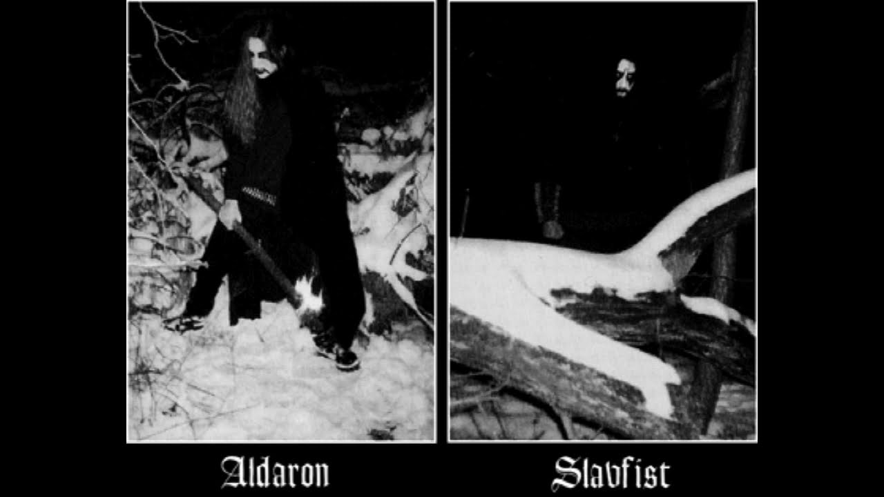 Algor-Vl&aacute;dca zimnej krajiny