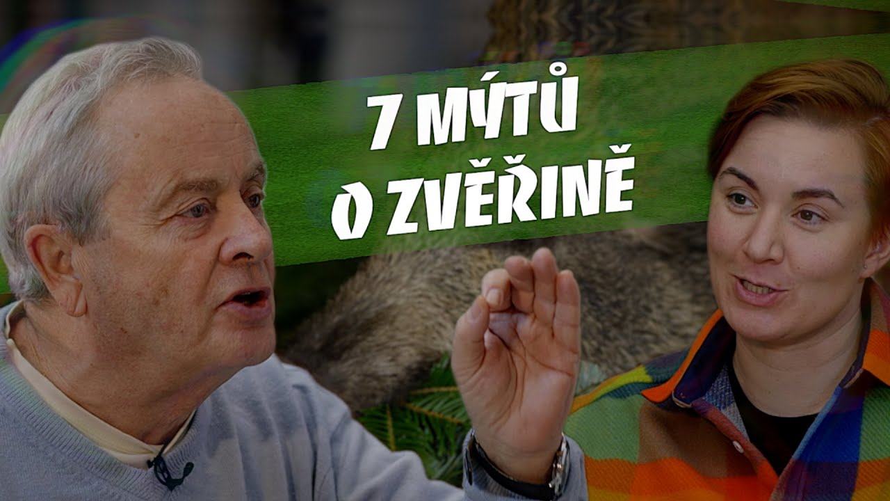 Chutn&aacute; zvěřina na tal&iacute;ři: 7 m&yacute;tů o zvěřině