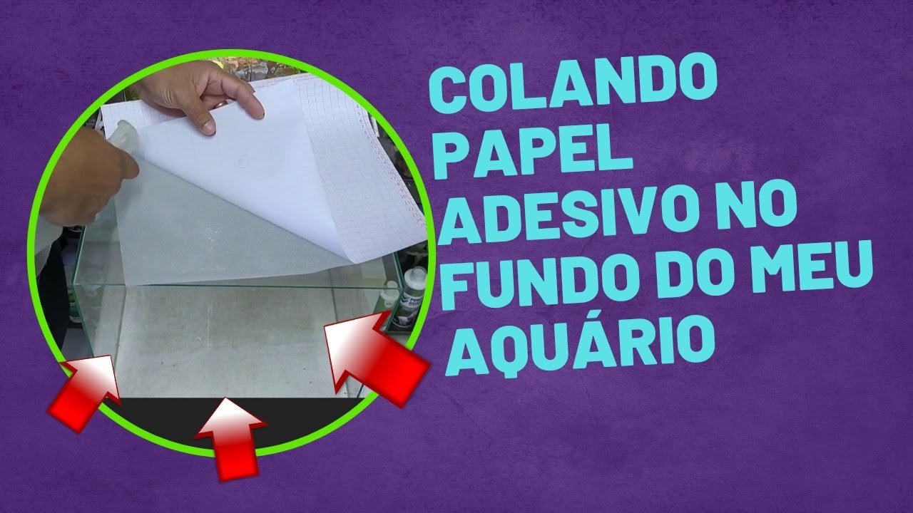 Como colar fundo de aquário fácil e barato  #aquarioplantado #dicas
