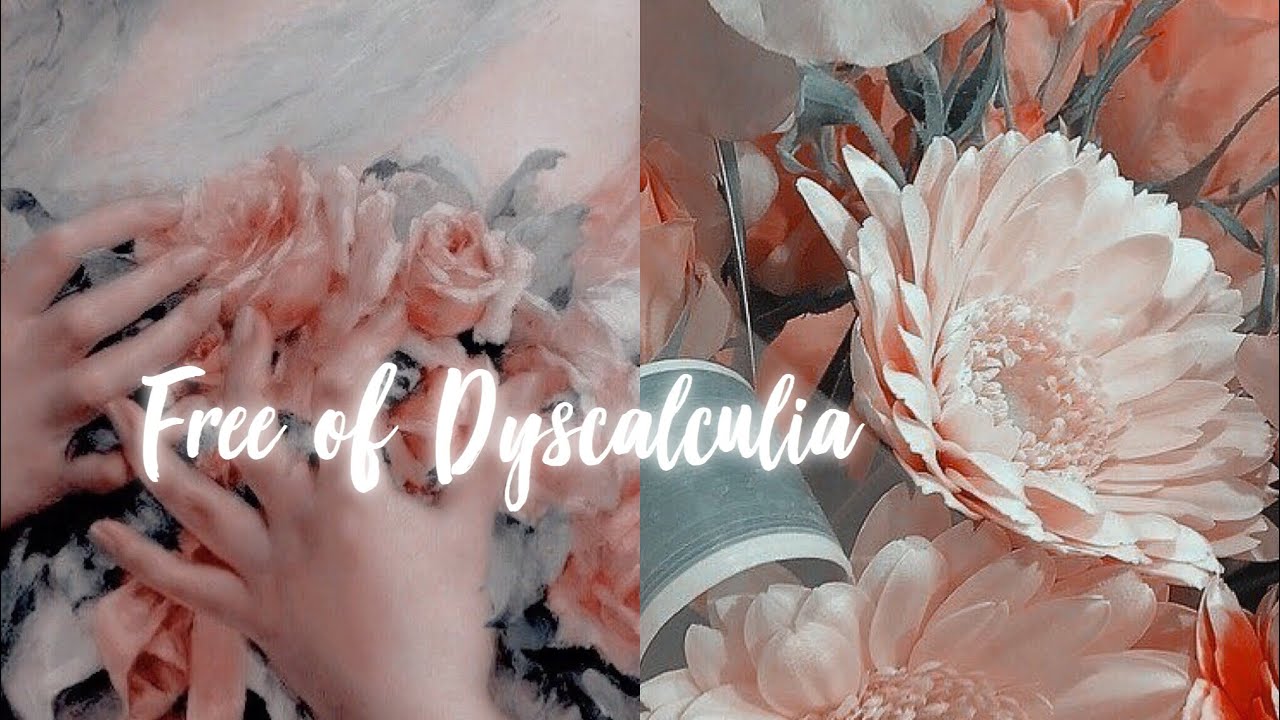 【 forced free of dyscalculia + math package ☆】