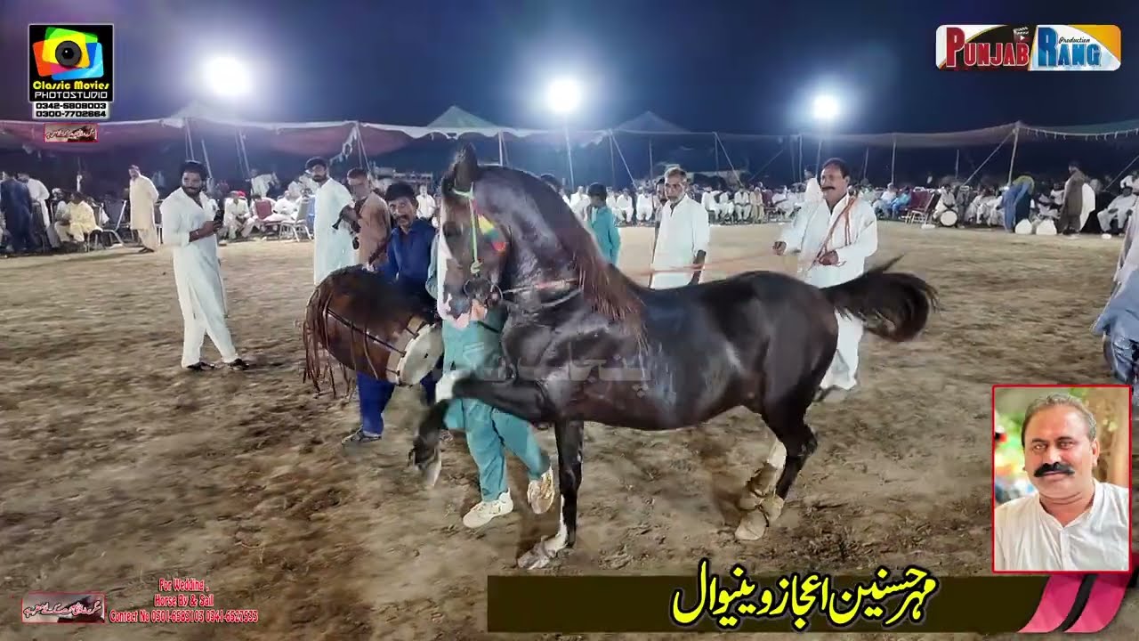 Ata e Hussain l Horse Dance Chak No 551 Mehr Da Mamunkanjan l 25 September 2025 l