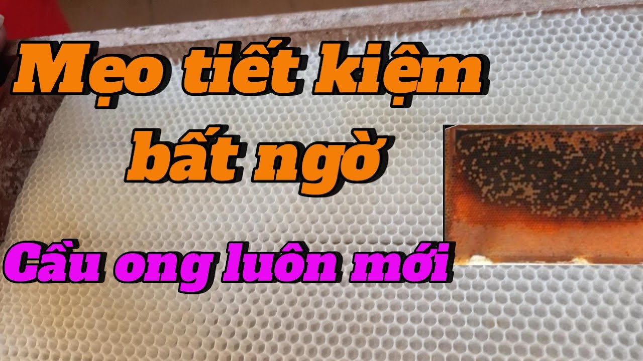 Mẹo tiết kiệm nhiều nhưng cầu ong vẫn luôn mới